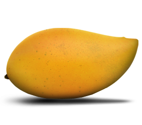 Plup / Puree