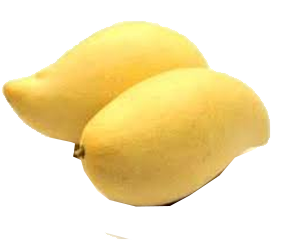 Plup / Puree