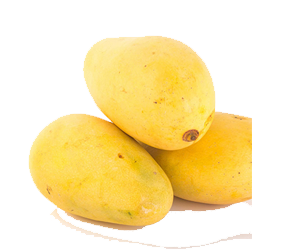 Plup / Puree
